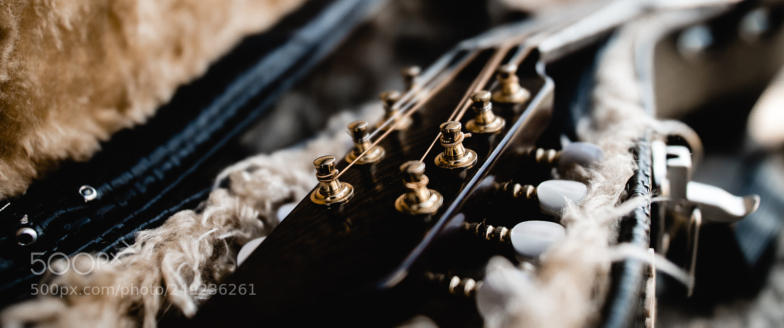Panasonic Lumix DC-GH5 sample photo. Lute photography