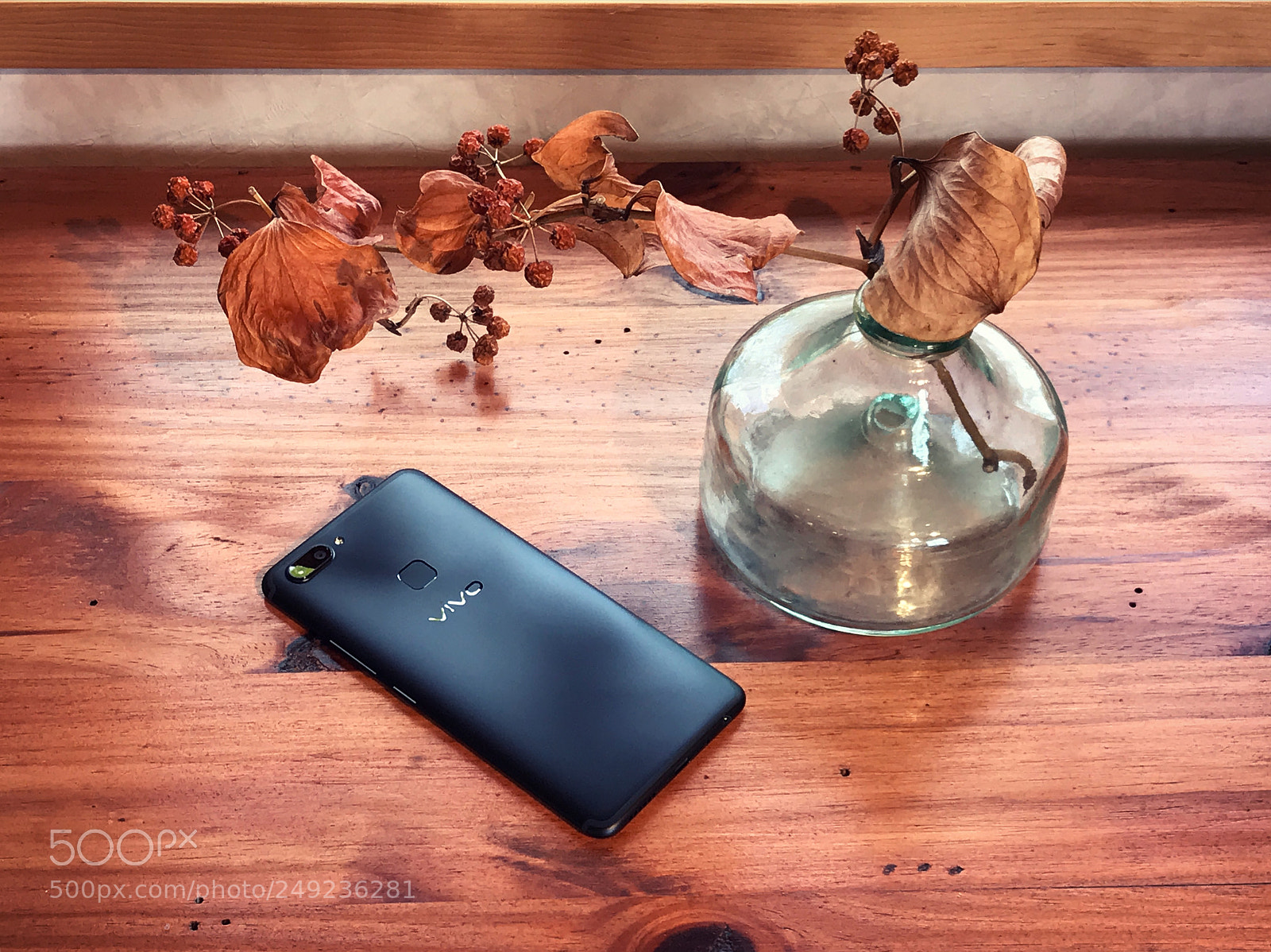 Apple iPhone 7 Plus sample photo. Vivo photography
