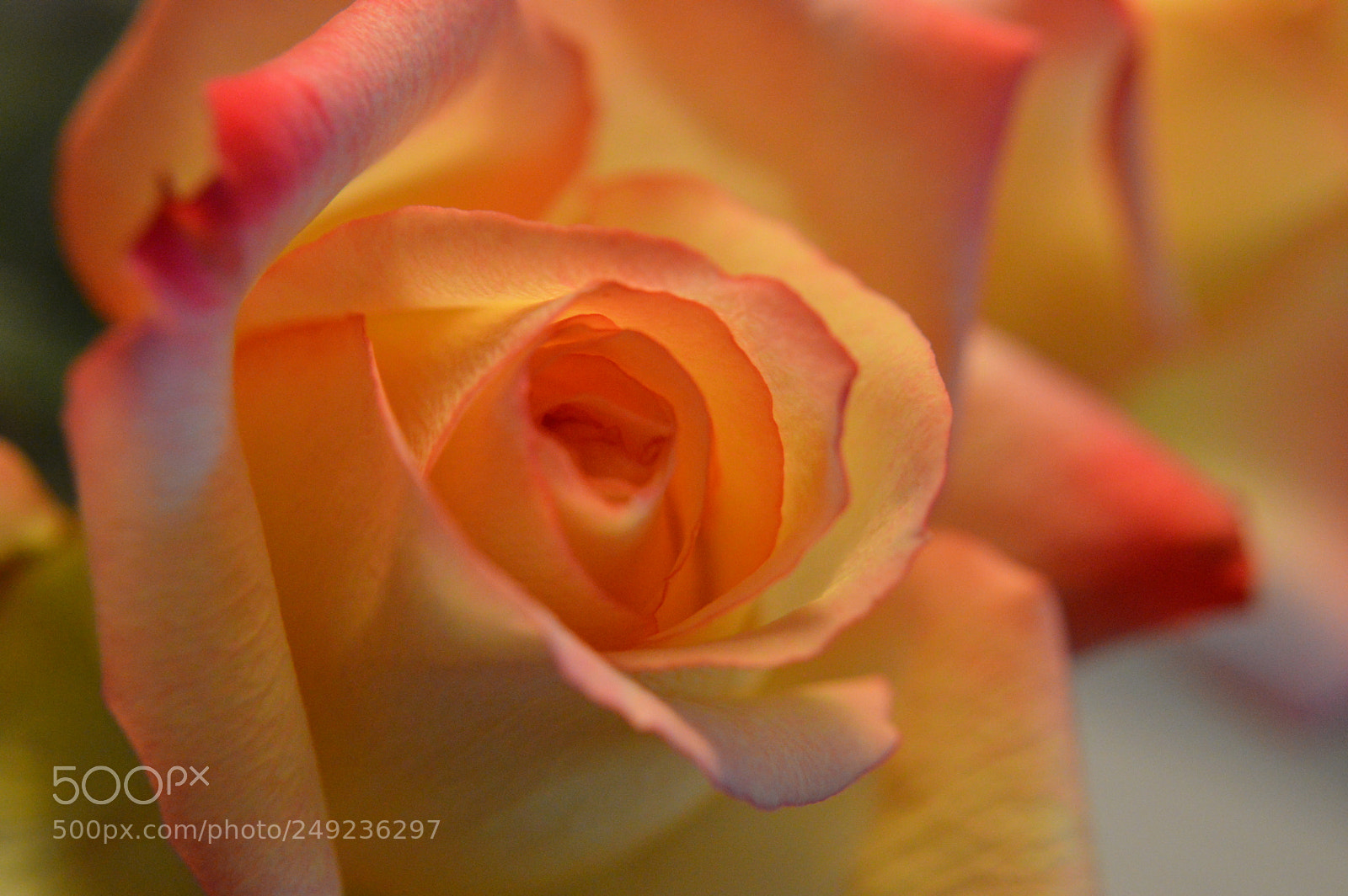 Nikon D3200 sample photo. Warmer photography