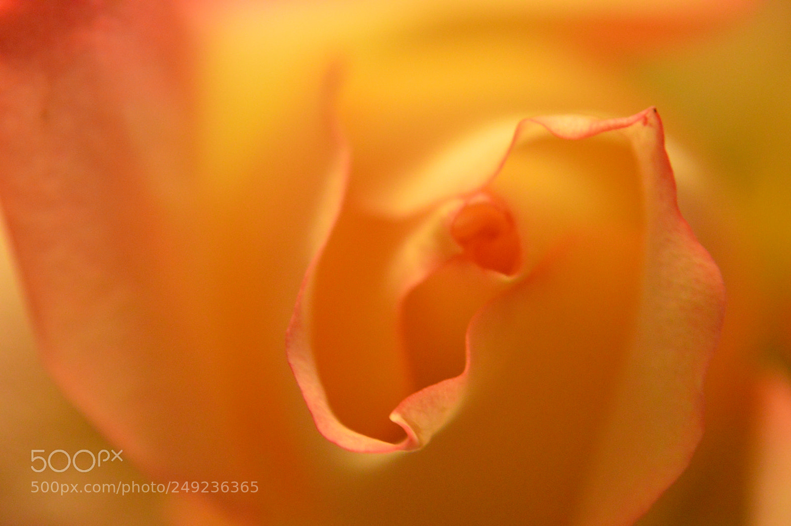 Nikon D3200 sample photo. Deep photography