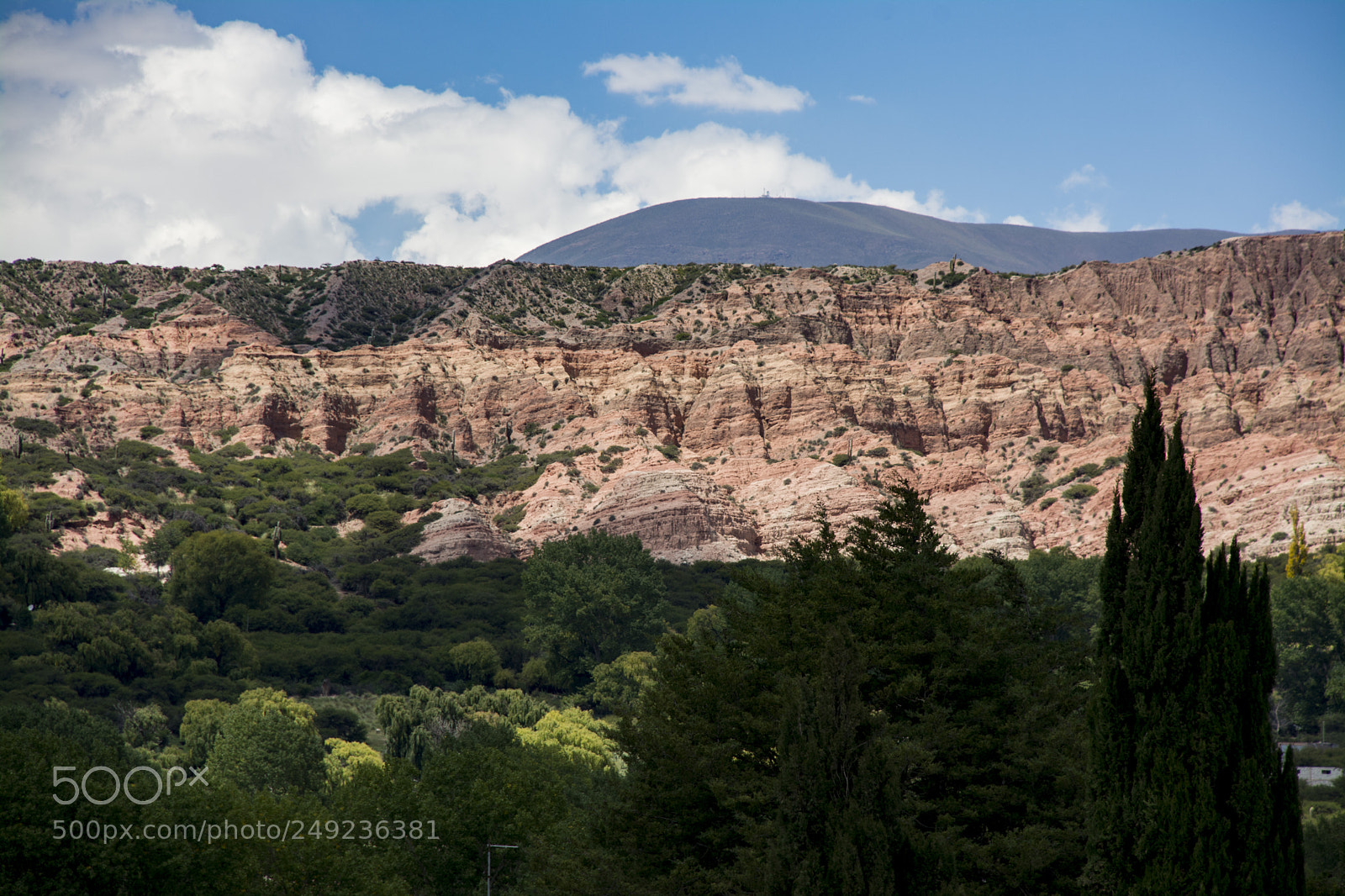 Nikon D7100 sample photo. Cafayate photography