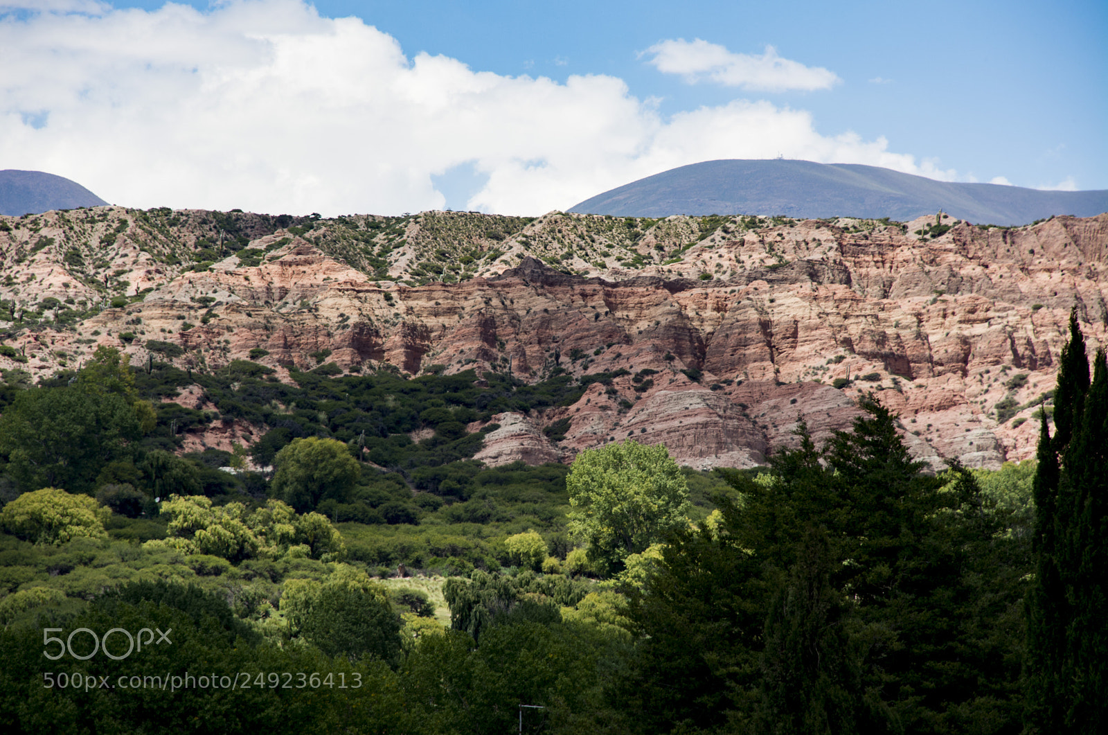Nikon D7100 sample photo. Cafayate photography