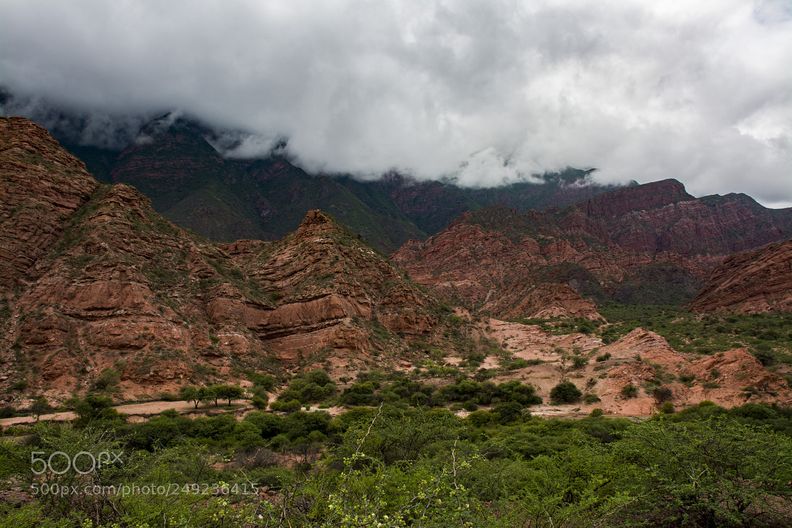 Nikon D7100 sample photo. Cafayate photography