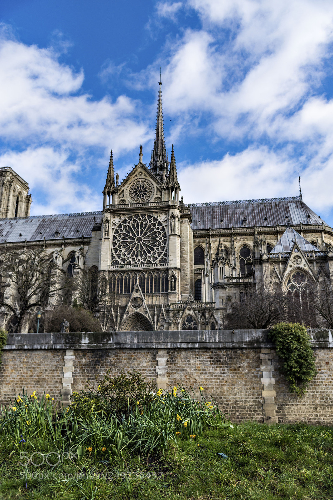 Nikon D610 sample photo. Notre dame de paris photography