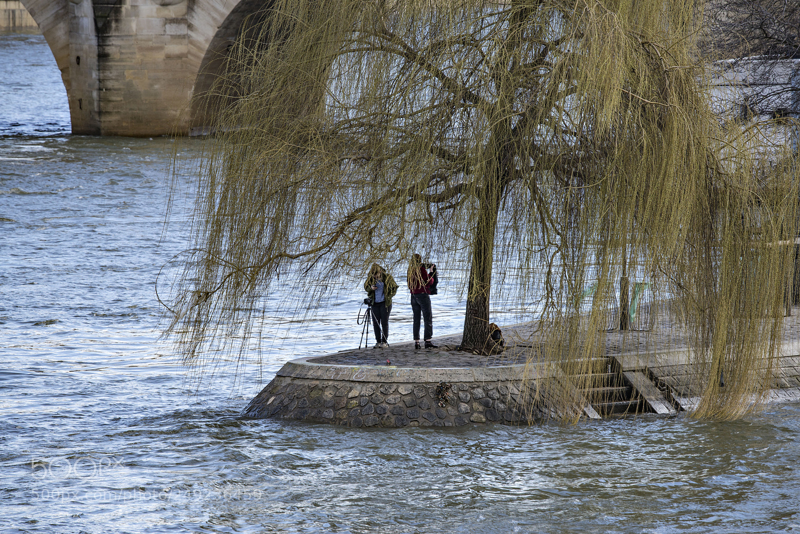 Nikon D610 sample photo. Paris parc du vert photography