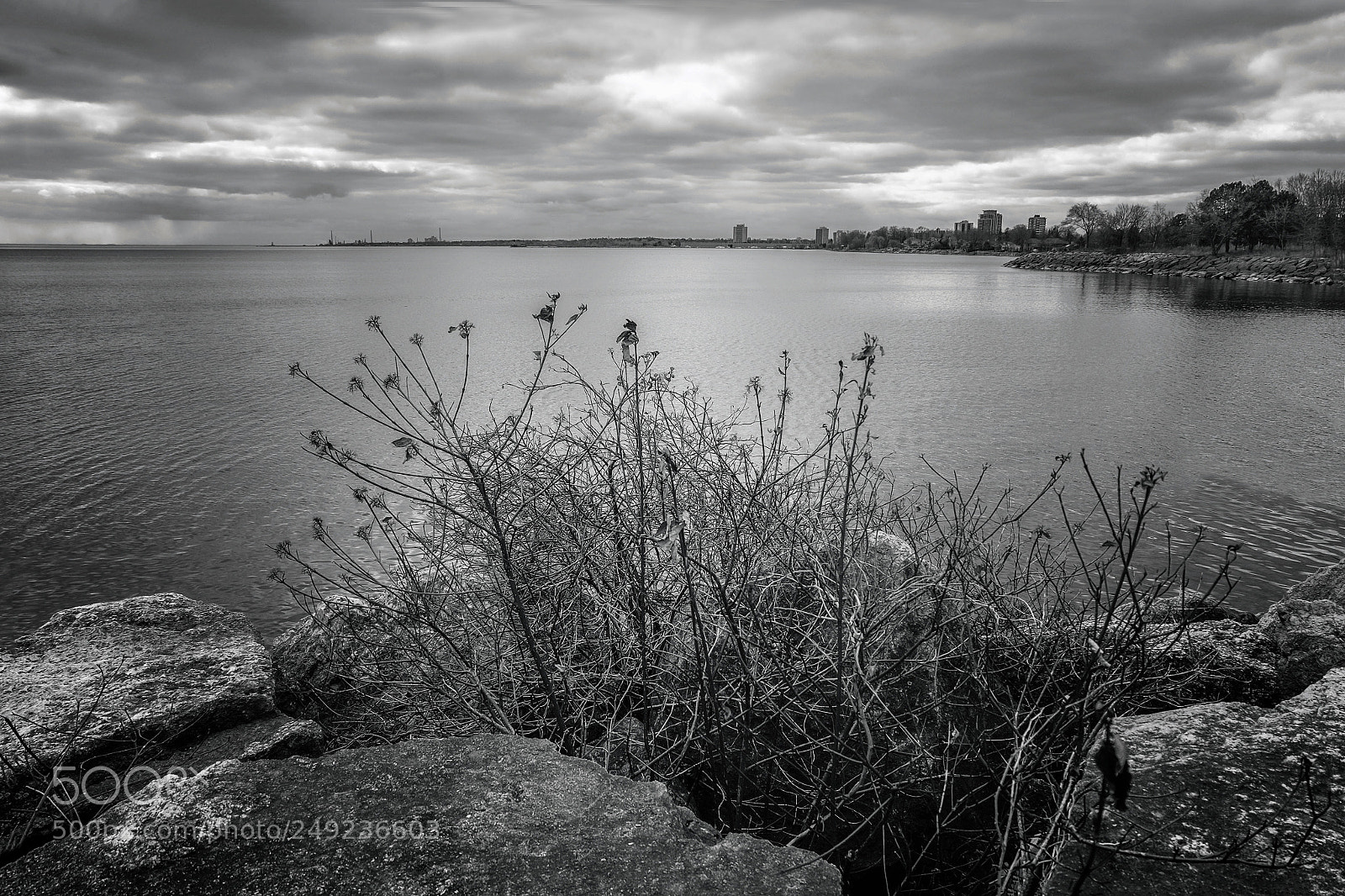 Fujifilm X-E2 sample photo. Lakeview park photography
