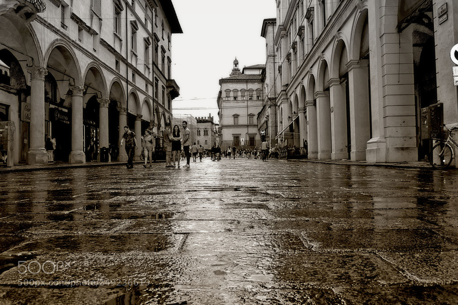 Nikon D3300 sample photo. Shining rain photography