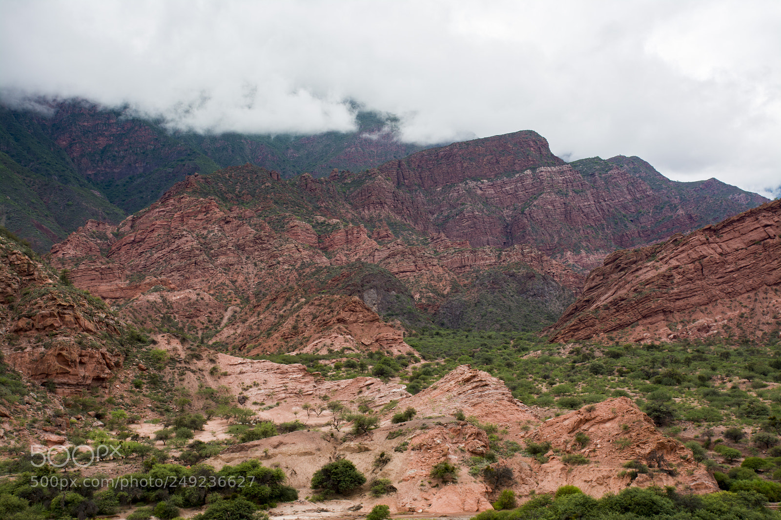 Nikon D7100 sample photo. Cafayate photography