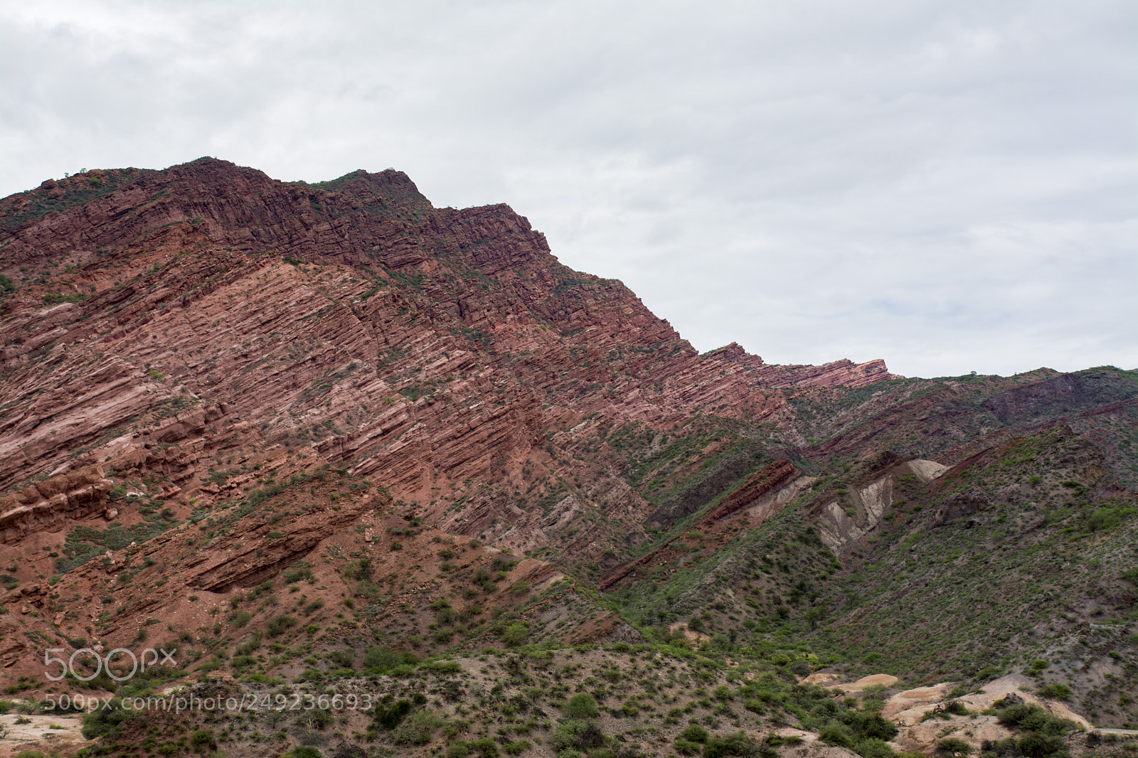 Nikon D7100 sample photo. Cafayate photography