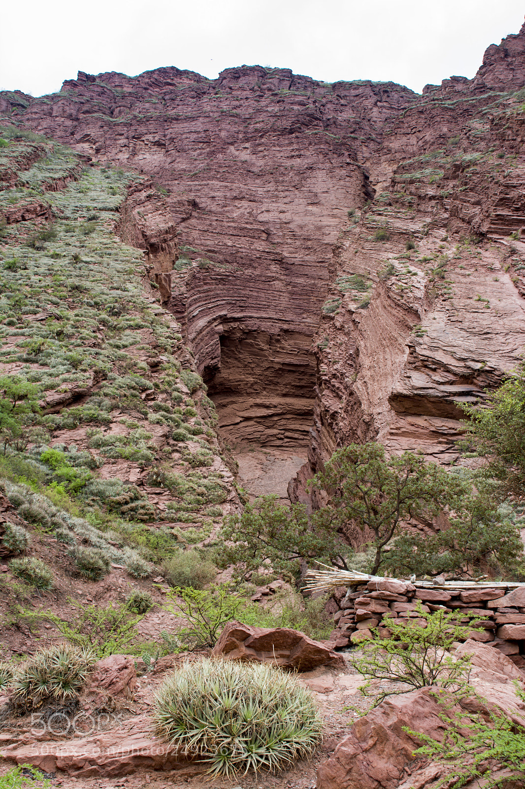 Nikon D7100 sample photo. Cafayate photography