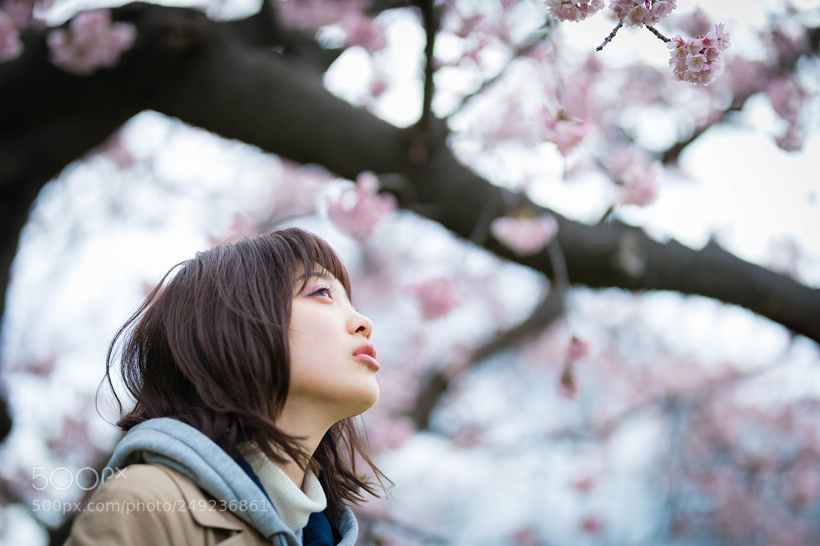 Canon EOS 5D Mark IV sample photo. Rino photography