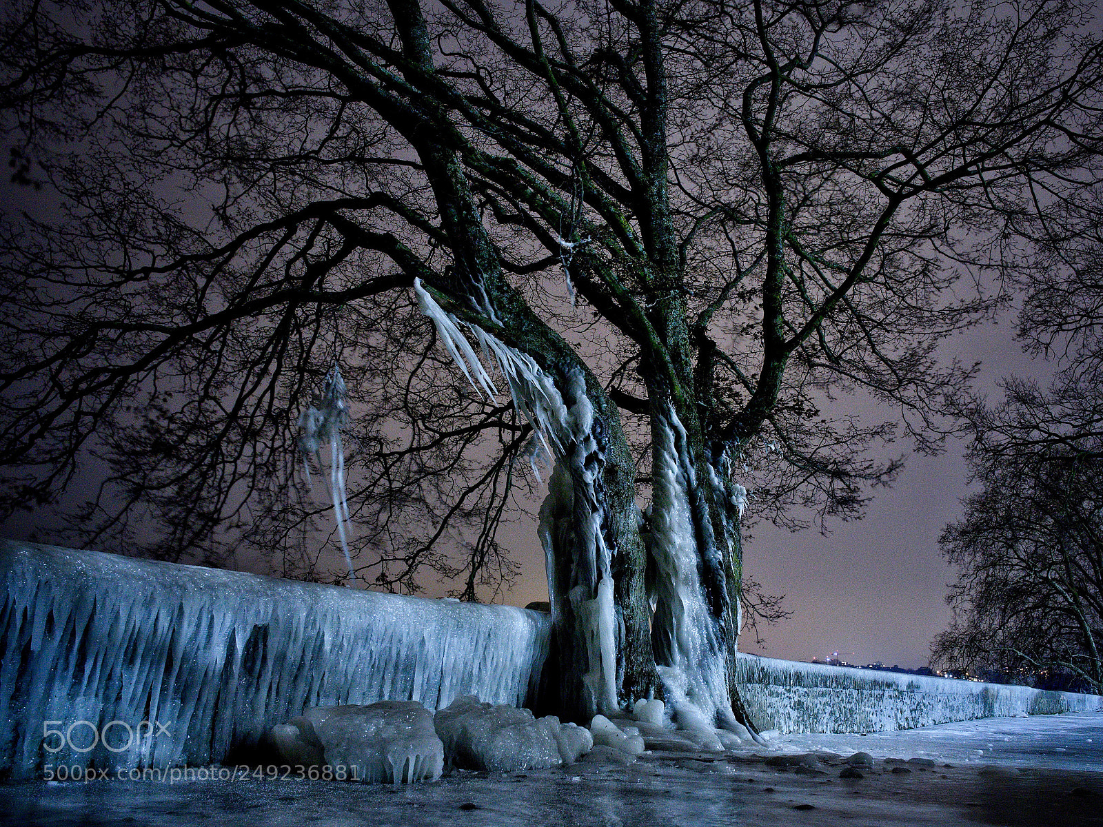 Panasonic Lumix DMC-GX8 sample photo. Ice tree photography
