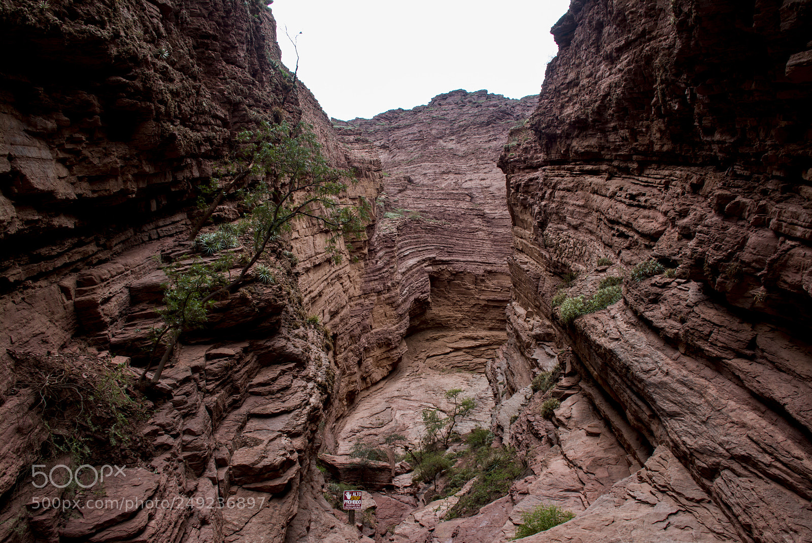 Nikon D7100 sample photo. Cafayate photography