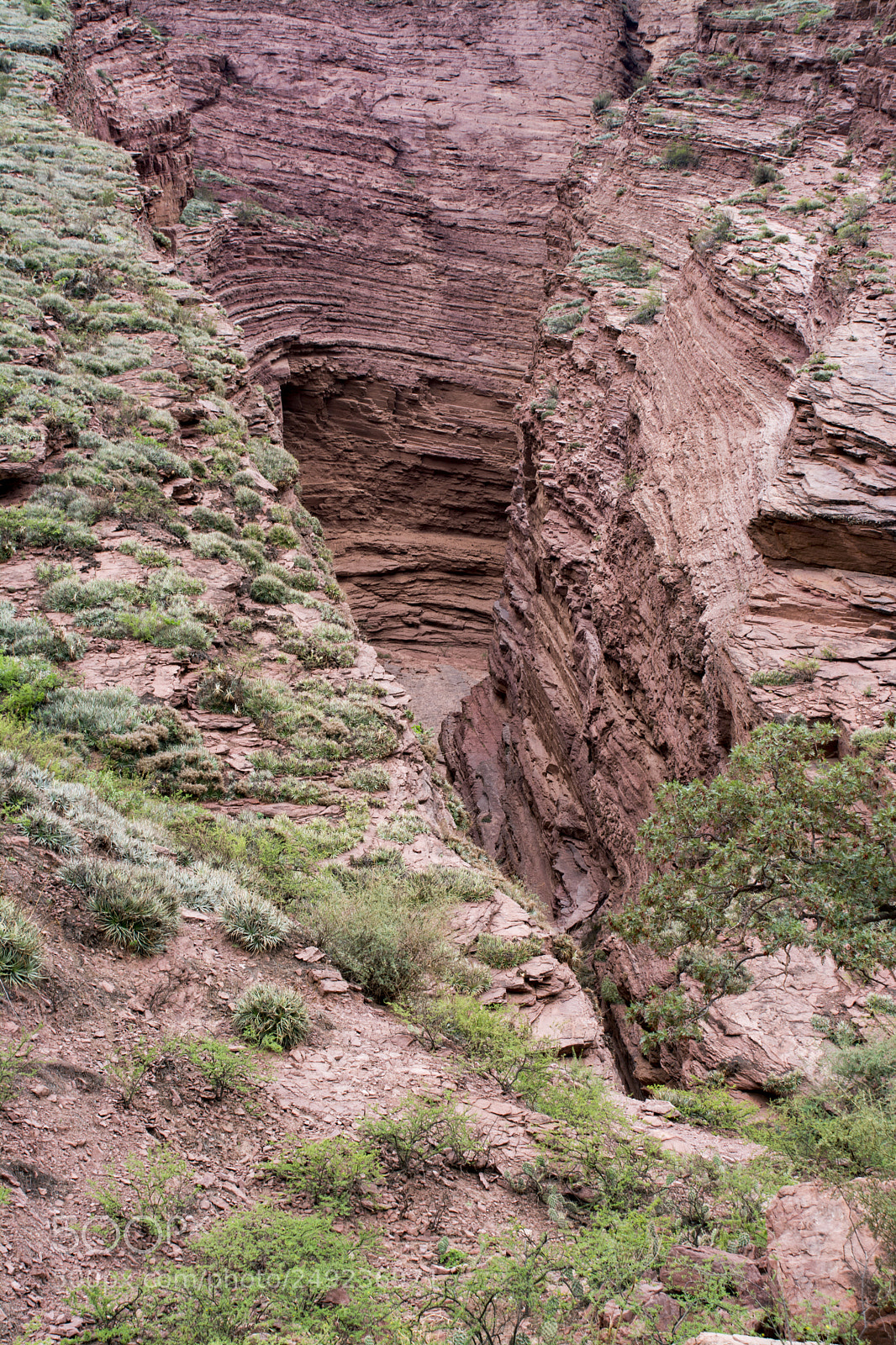 Nikon D7100 sample photo. Cafayate photography