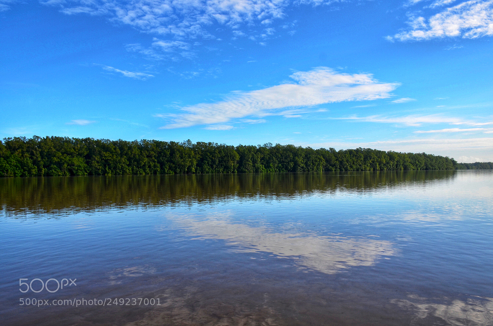 Nikon D7000 sample photo. The suriname river photography