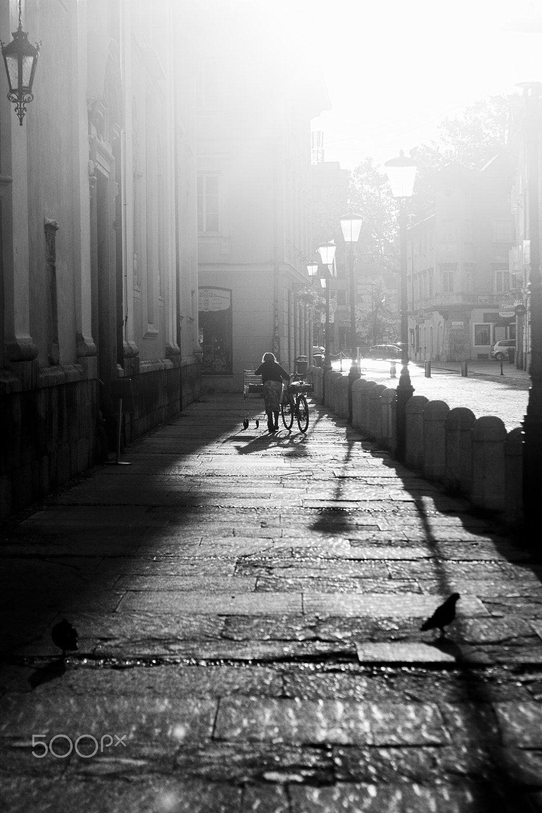 Canon EOS 750D (EOS Rebel T6i / EOS Kiss X8i) sample photo. Walking alone photography