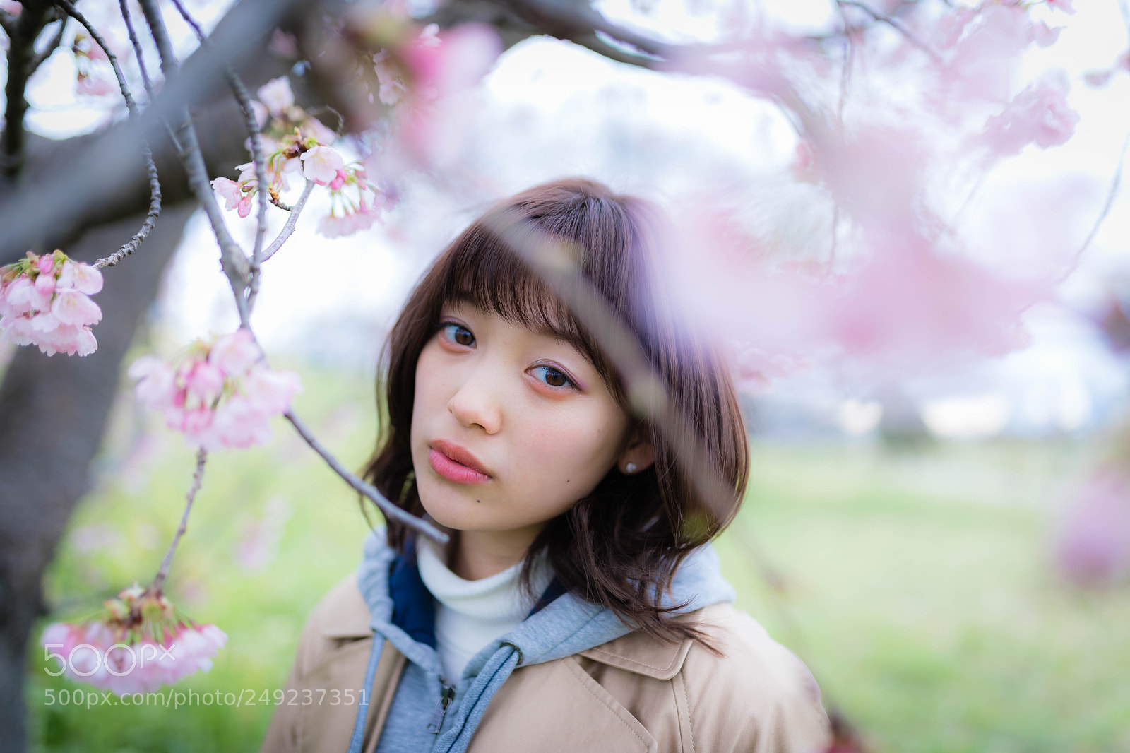 Canon EOS 5D Mark IV sample photo. Rino photography