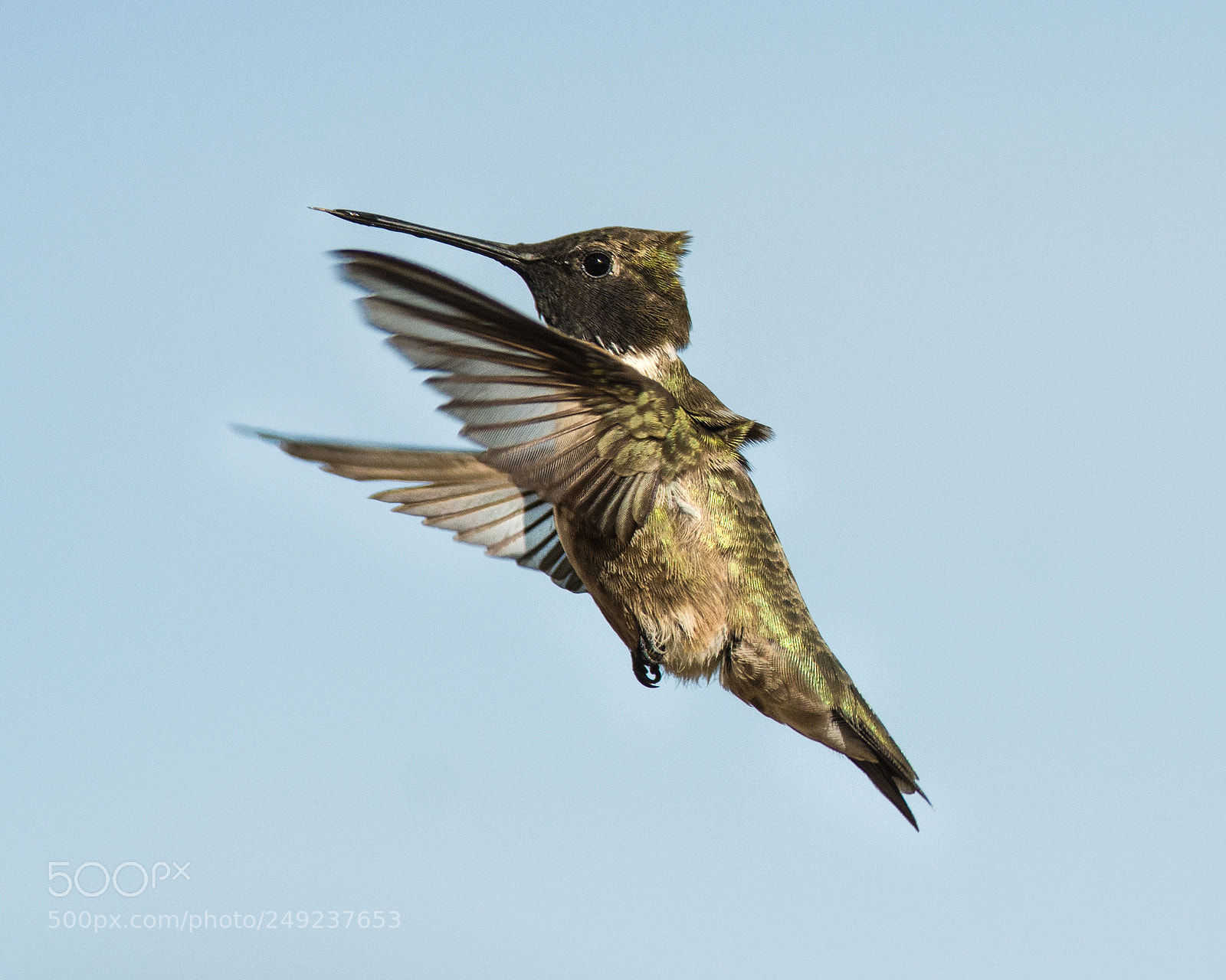 Nikon D7100 sample photo. Transparent photography