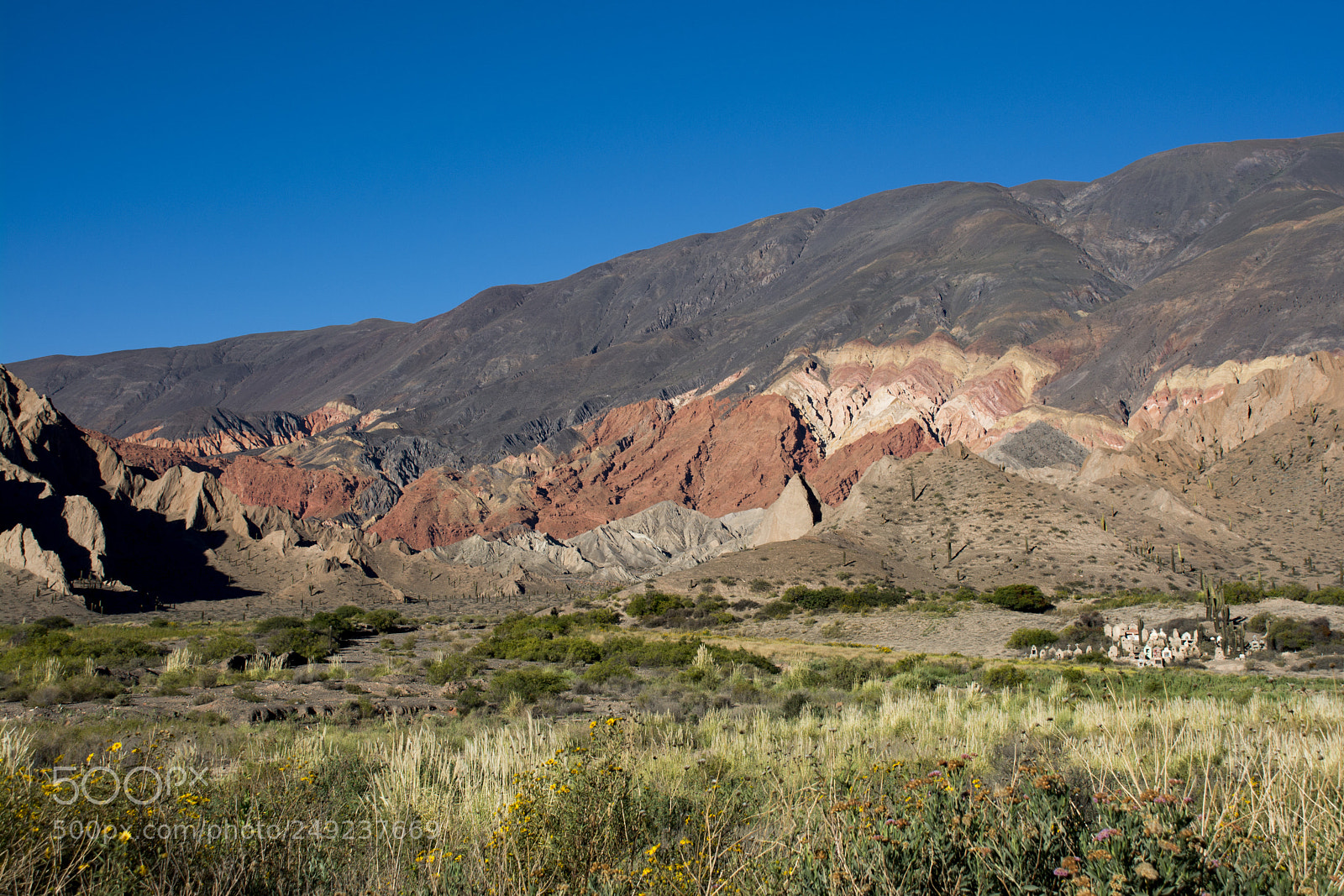 Nikon D7100 sample photo. Tren a las nubes photography