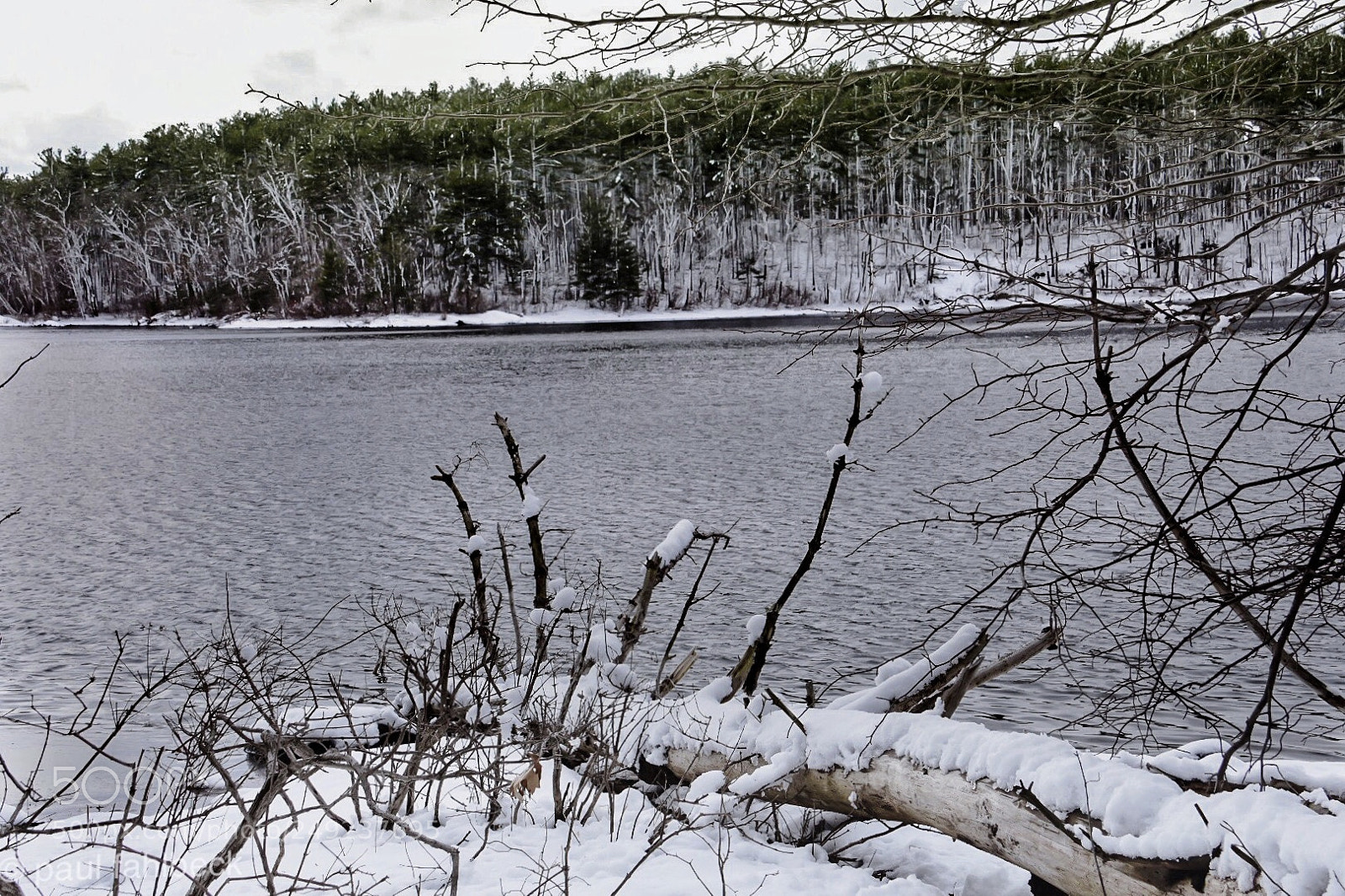 Nikon D7200 sample photo. Still winter photography