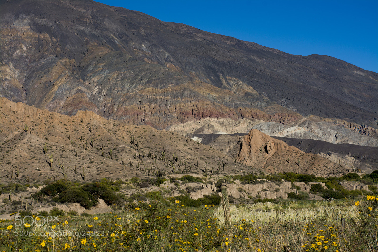 Nikon D7100 sample photo. Tren a las nubes photography