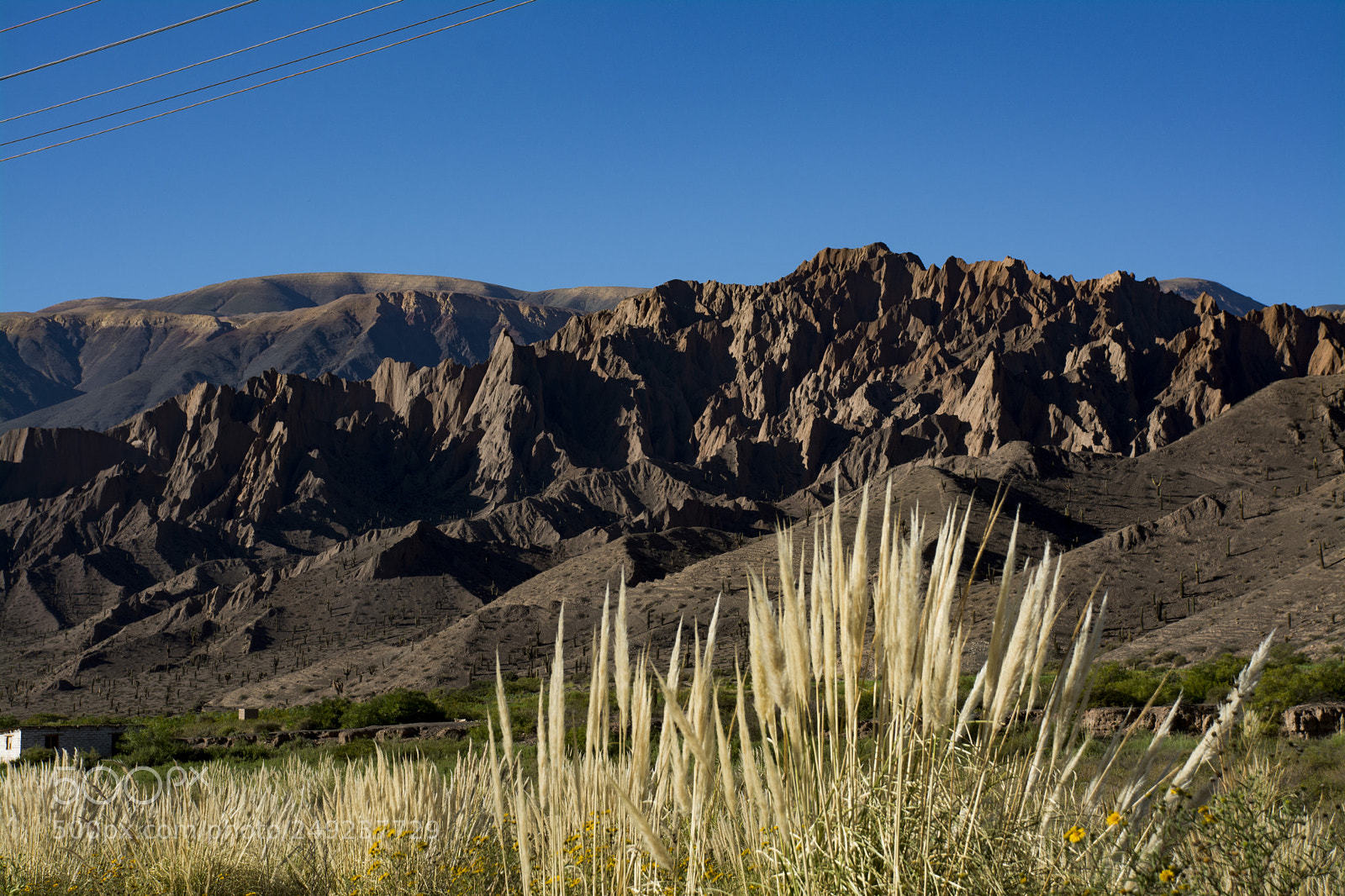 Nikon D7100 sample photo. Tren a las nubes photography