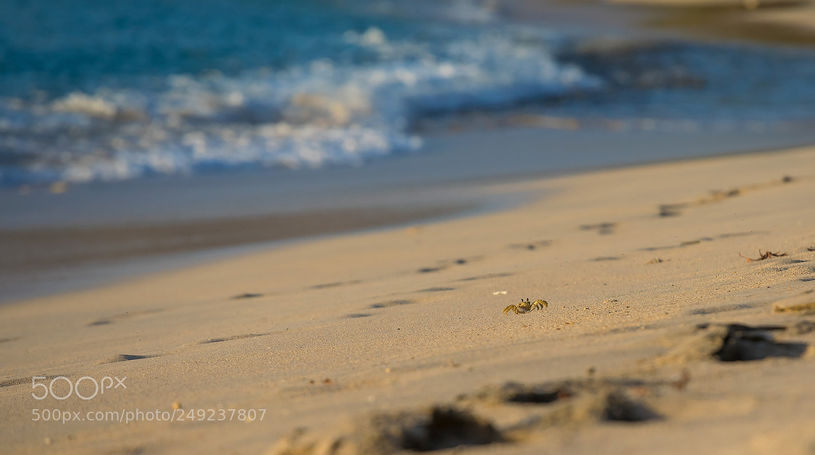 Canon EOS 5D Mark IV sample photo. Waiting for the tide photography