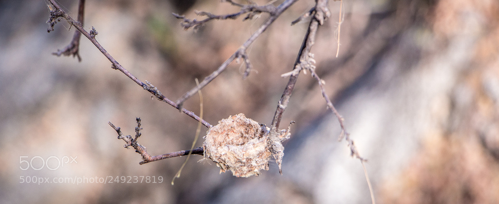 Canon EOS 700D (EOS Rebel T5i / EOS Kiss X7i) sample photo. Img photography