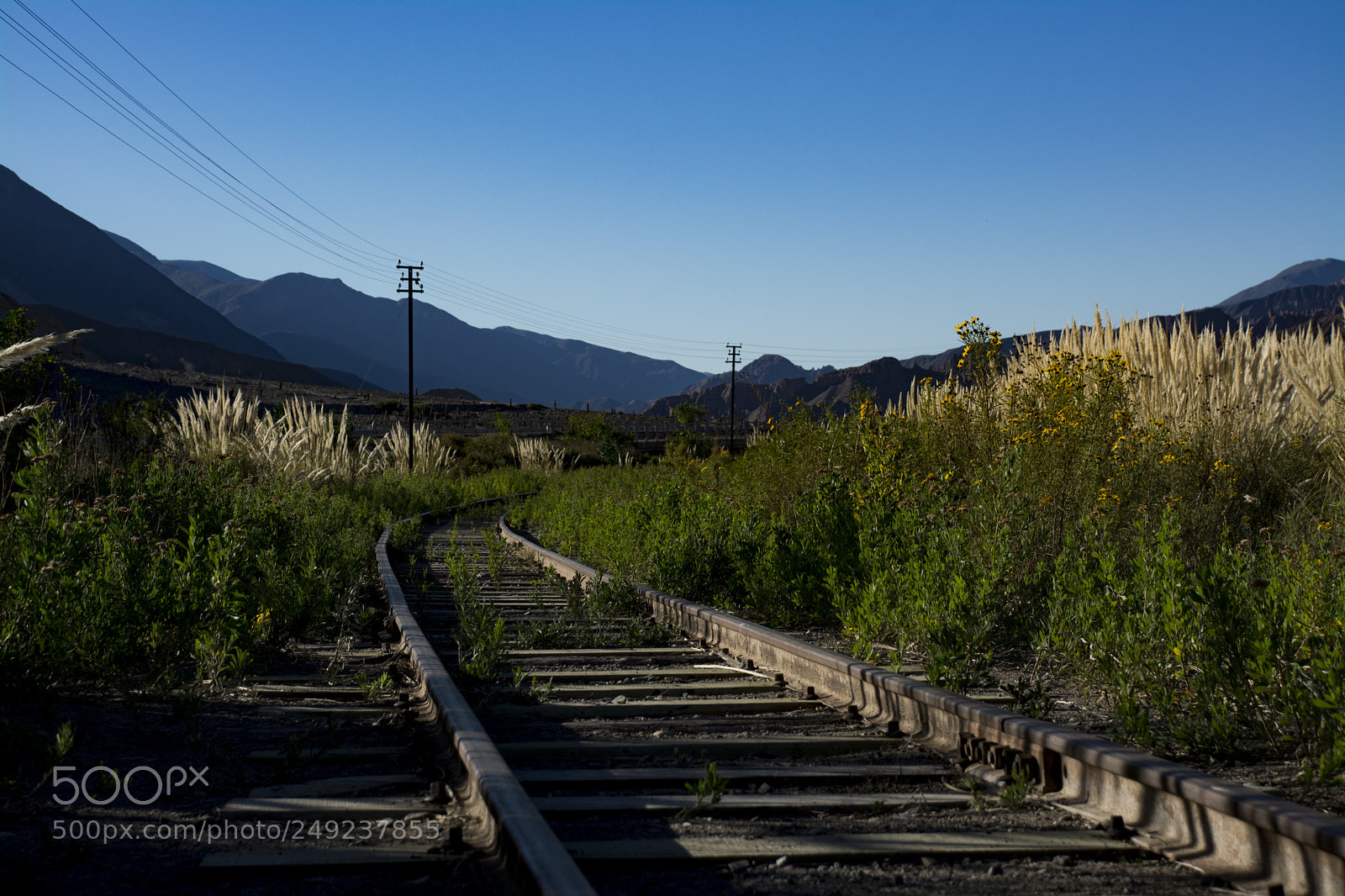 Nikon D7100 sample photo. Tren a las nubes photography