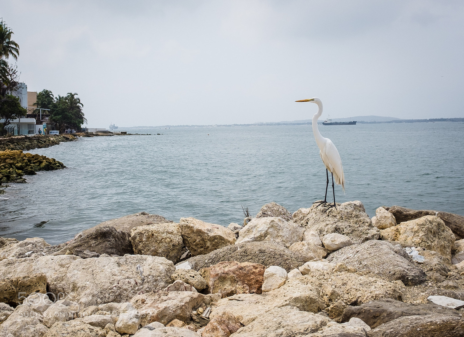Fujifilm X100T sample photo. Untitled photography