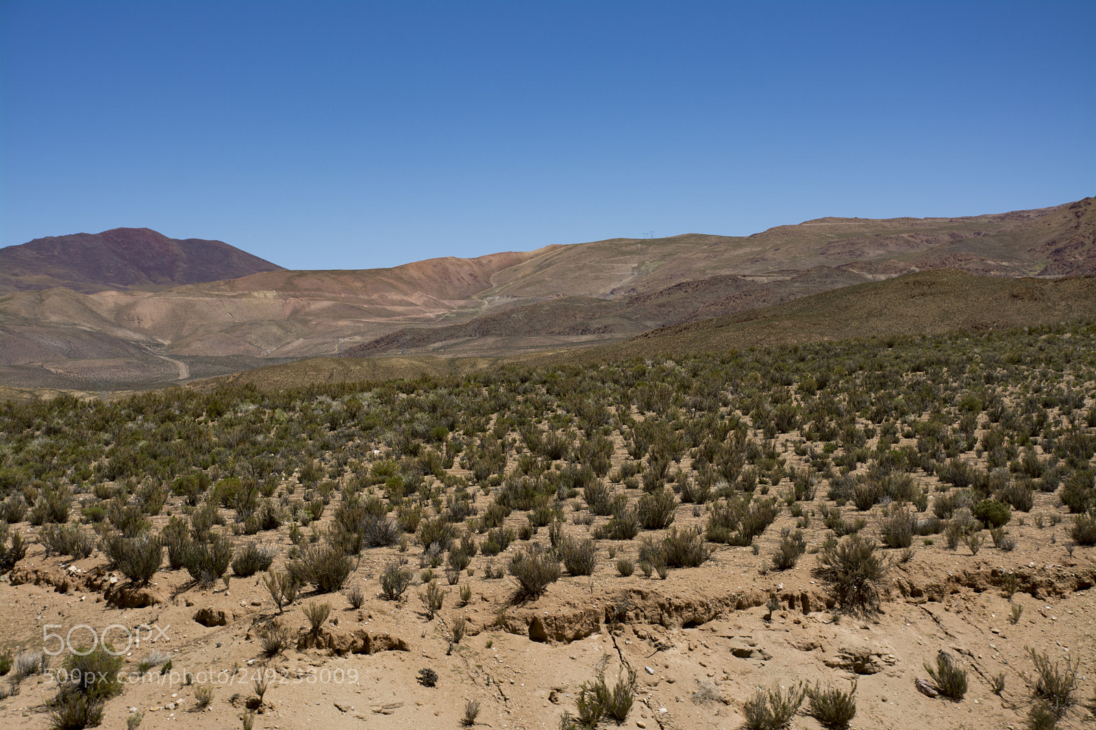 Nikon D7100 sample photo. Tren a las nubes photography