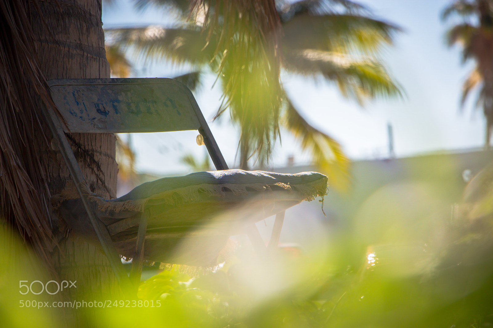 Canon EOS 700D (EOS Rebel T5i / EOS Kiss X7i) sample photo. Img photography