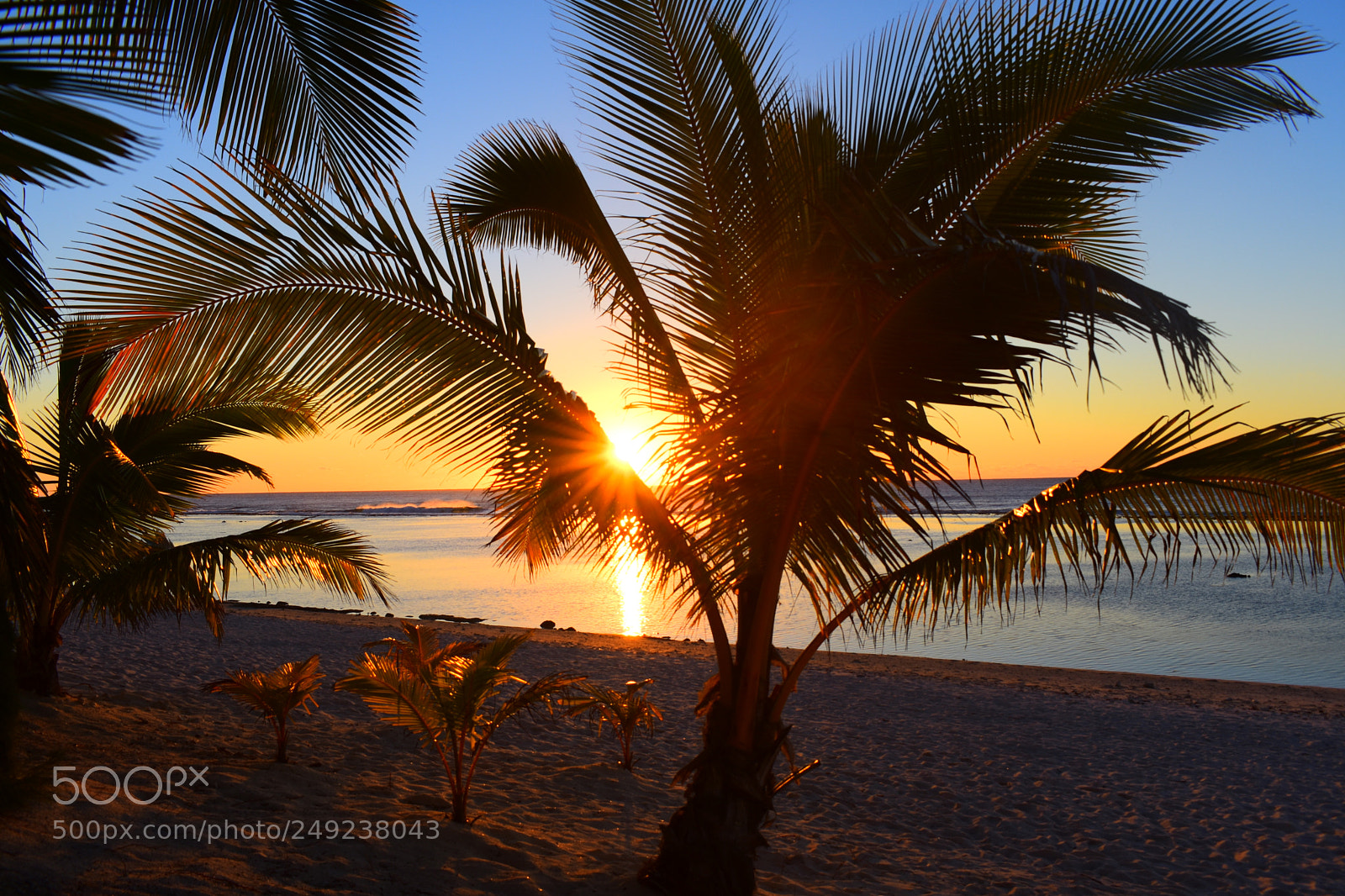Nikon D3400 sample photo. Paradise show photography