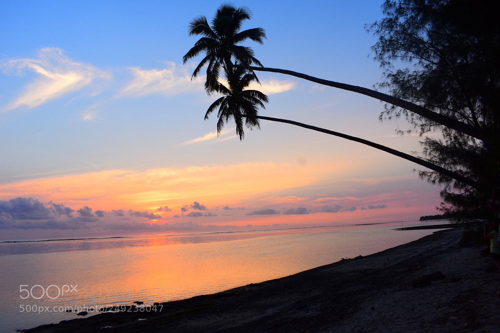 Nikon D3400 sample photo. Paradise show photography
