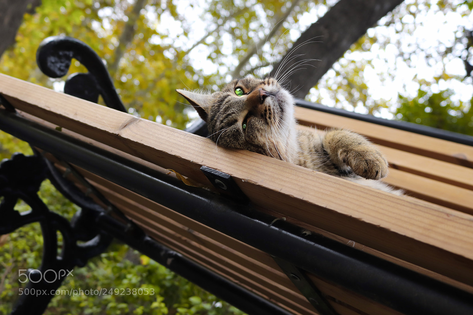 Canon EOS 77D (EOS 9000D / EOS 770D) sample photo. Untitled photography