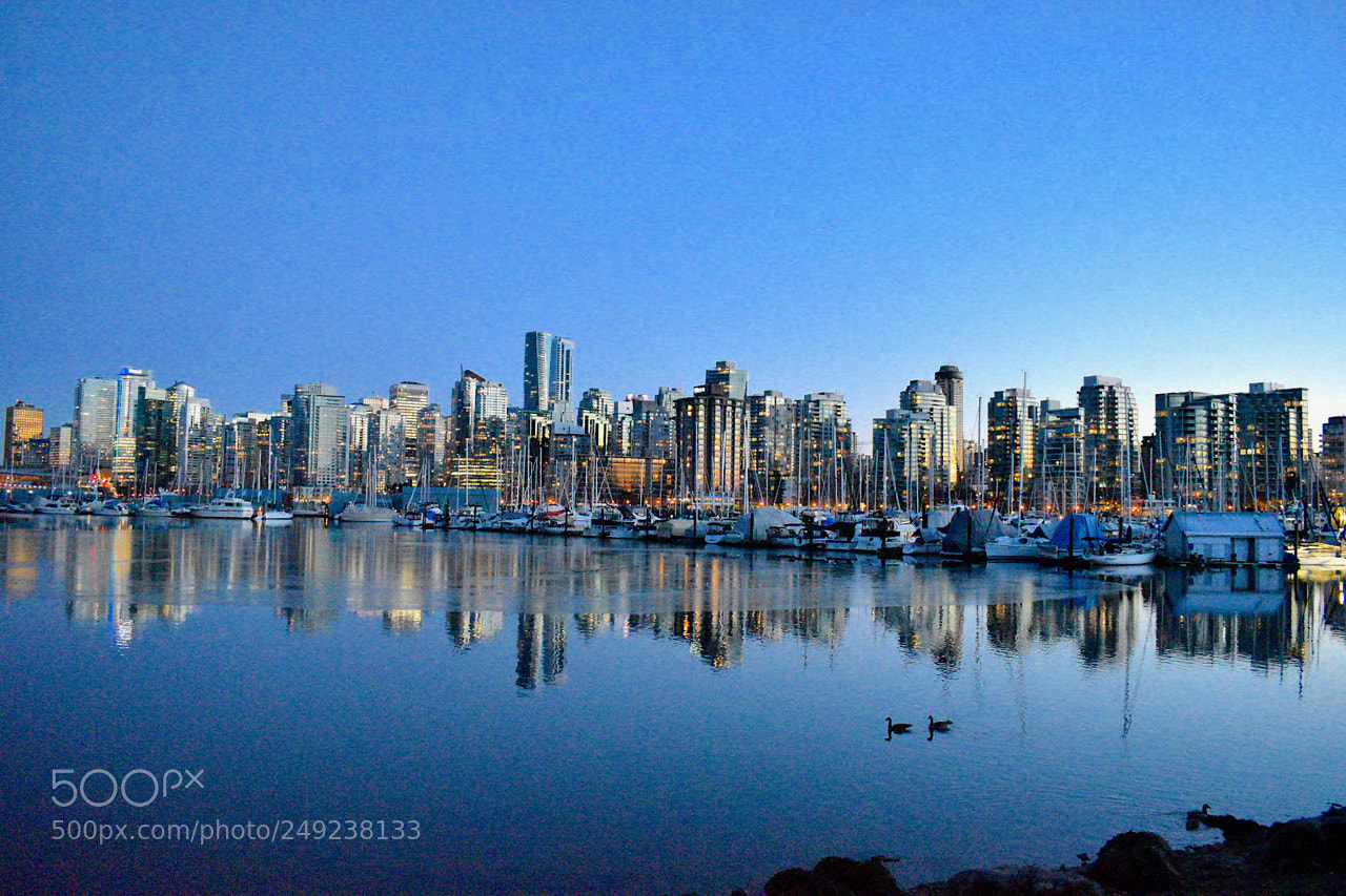 Nikon D5600 sample photo. Vancouver photography
