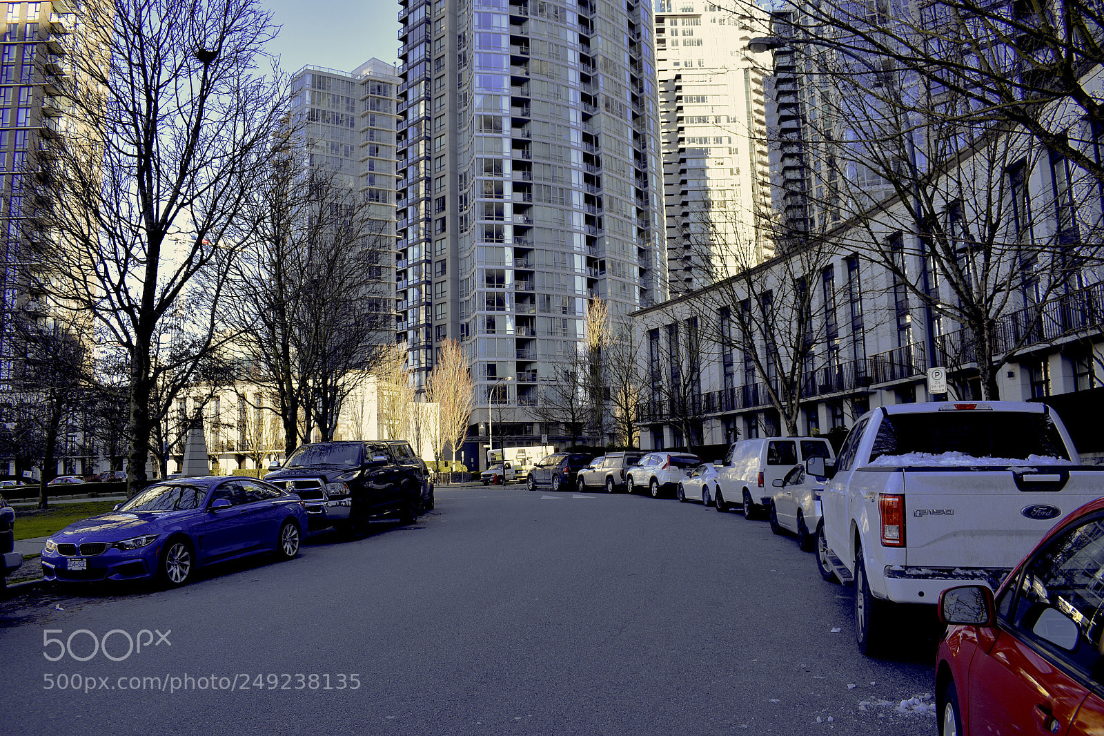 Nikon D5600 sample photo. Vancouver photography