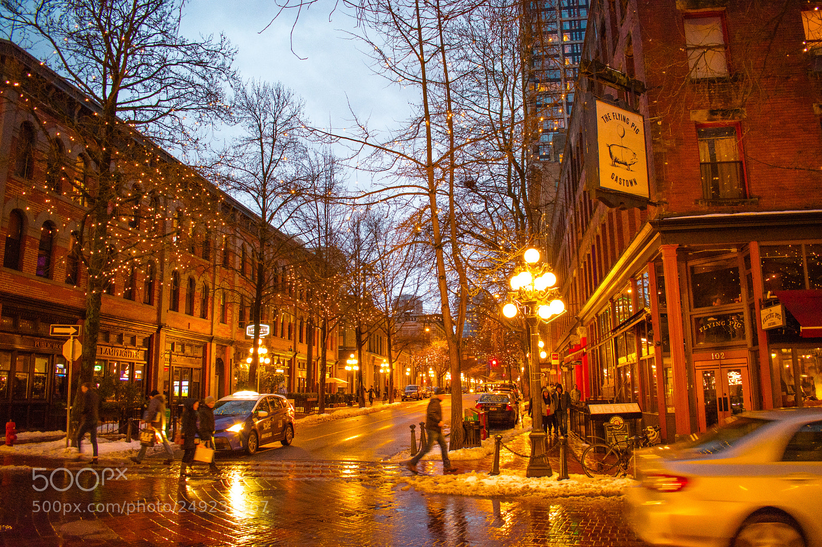 Nikon D5600 sample photo. Vancouver photography