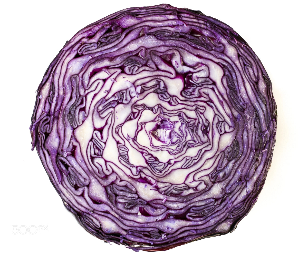 Nikon D3300 sample photo. Purple brain? photography