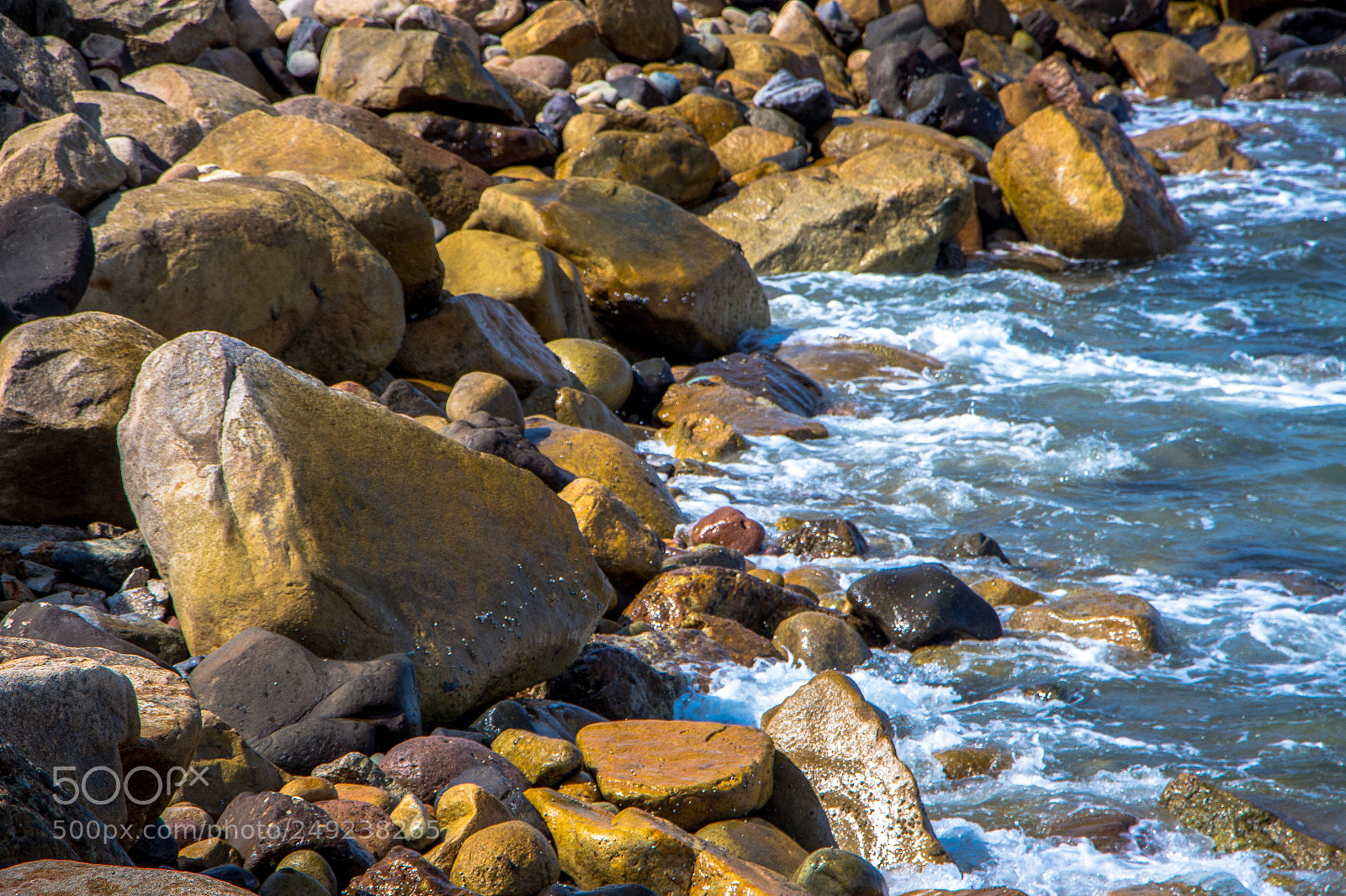 Canon EOS 700D (EOS Rebel T5i / EOS Kiss X7i) sample photo. Img photography