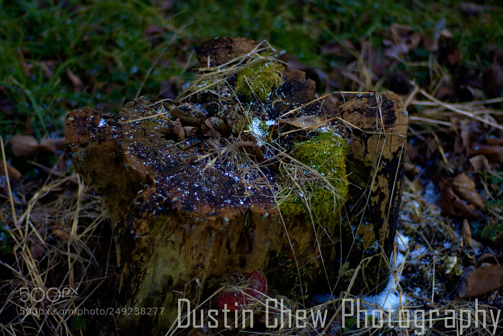 Nikon D7200 sample photo. Stumped01 photography