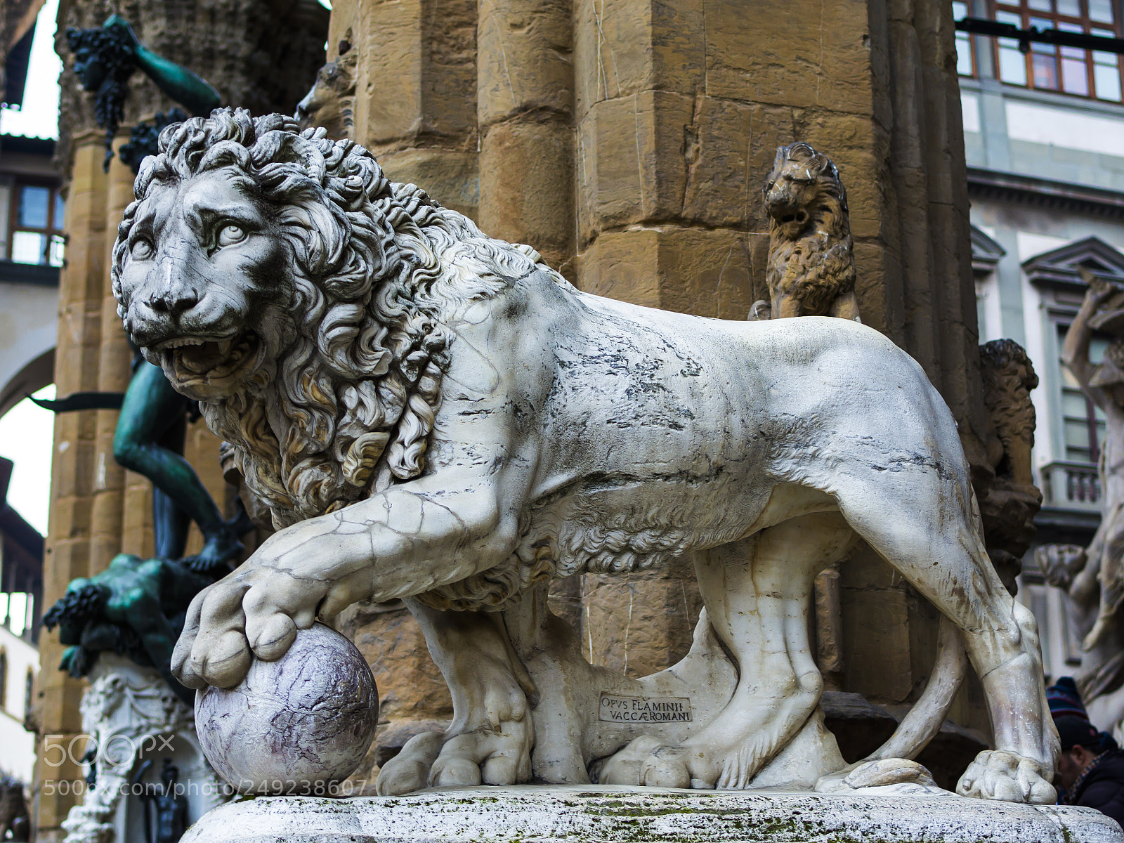 Nikon D7100 sample photo. The lion photography