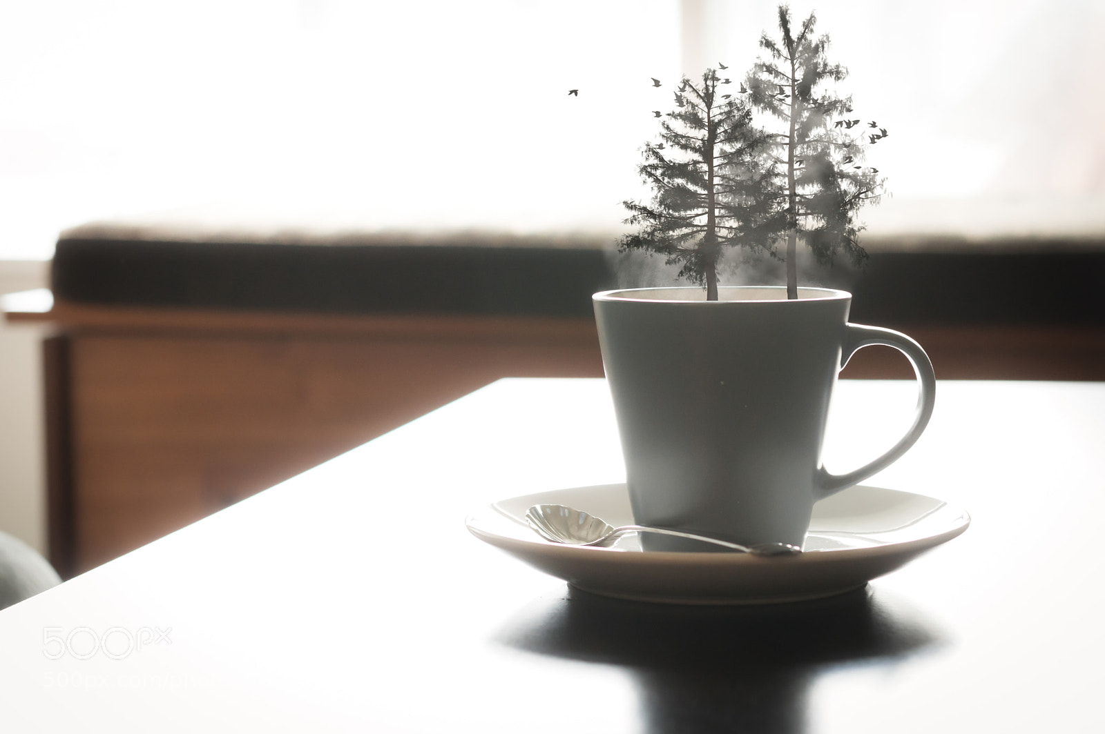 Nikon D3200 sample photo. Early birds photography