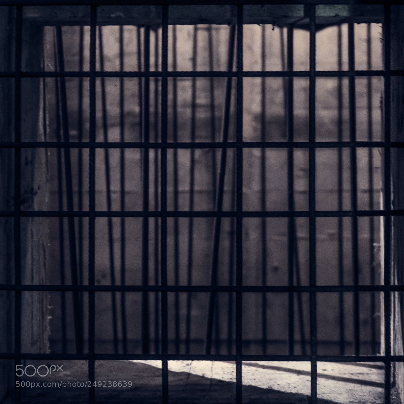 Sony a7 sample photo. Caged photography