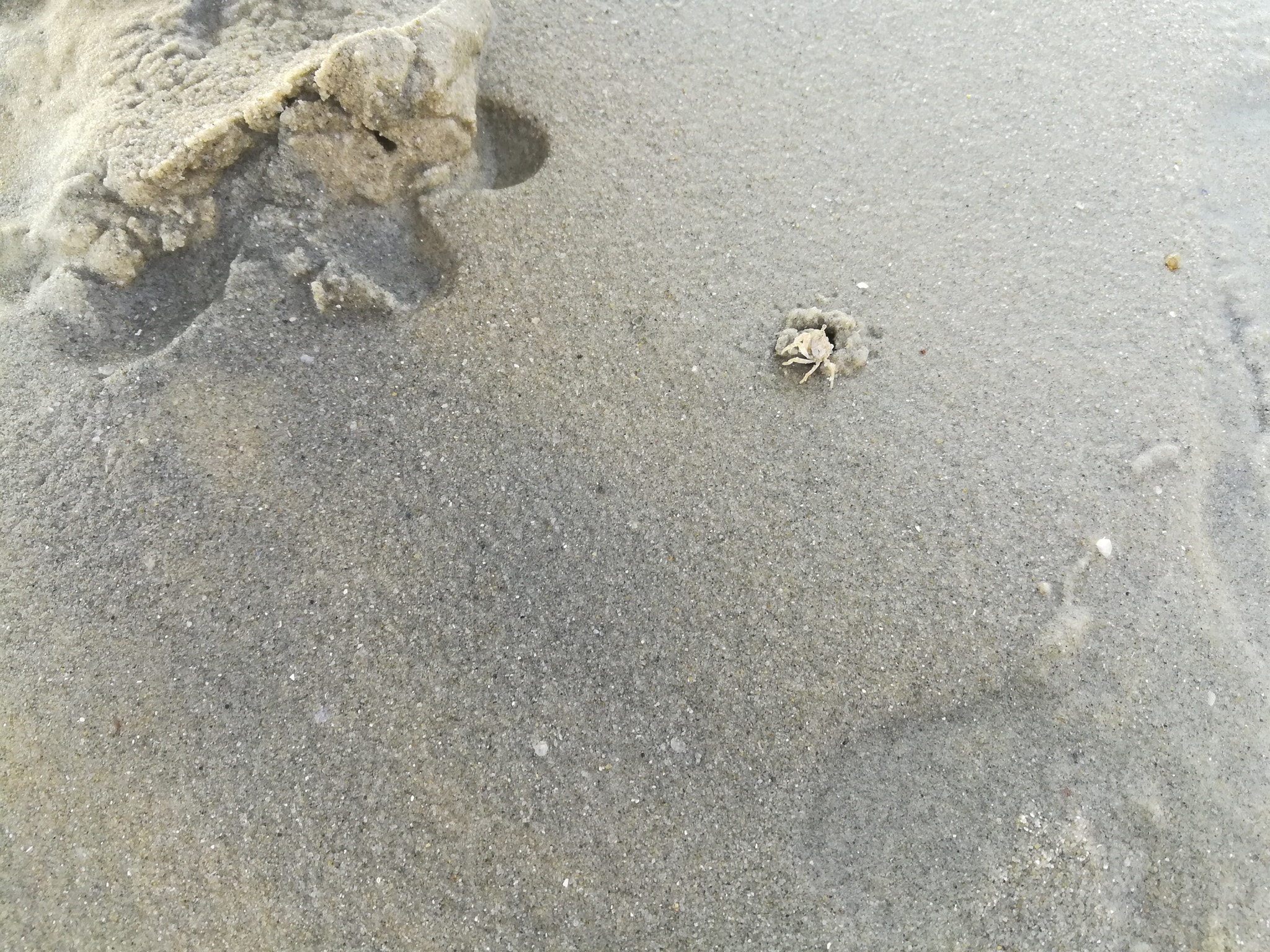 HUAWEI c??Eu?s 6X sample photo. Untitled photography