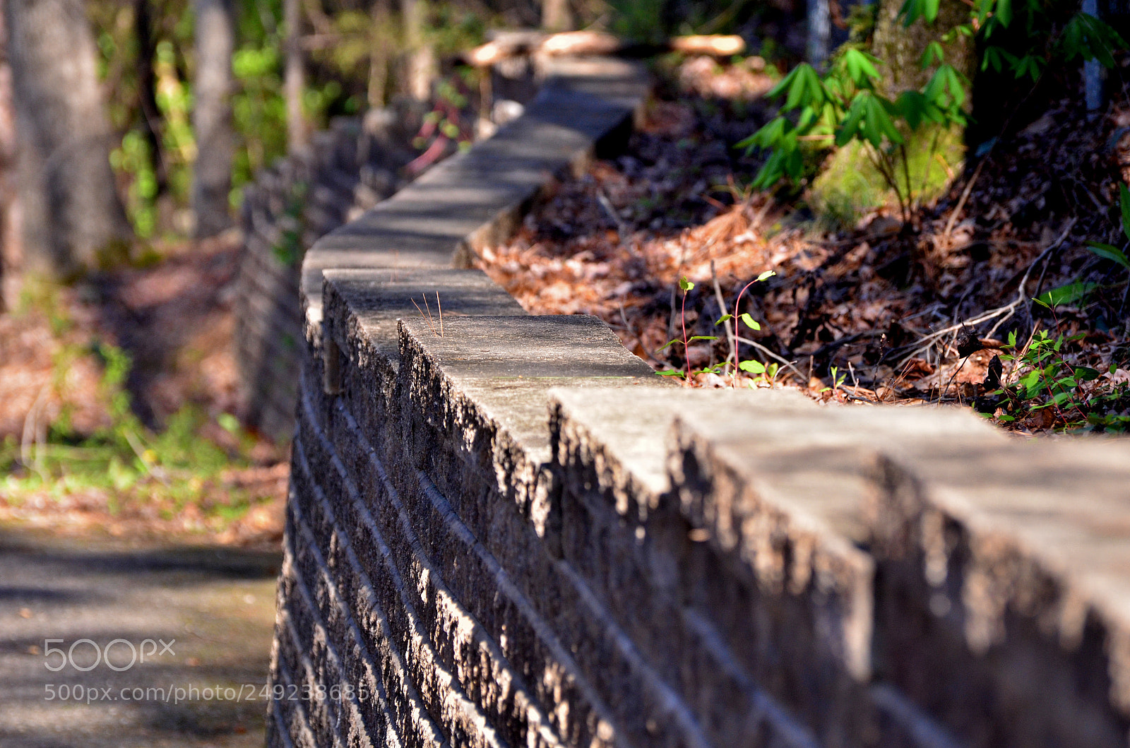 Nikon D7000 sample photo. Along the wall photography