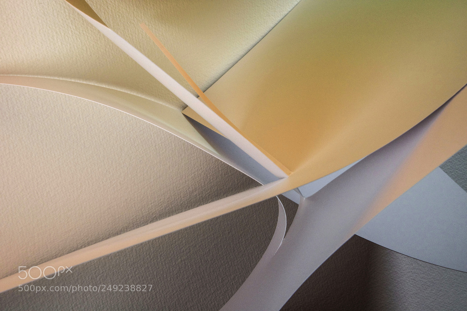 Nikon D810 sample photo. A break for a photography