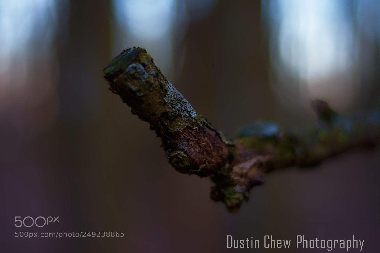 Nikon D7200 sample photo. Sticking out photography