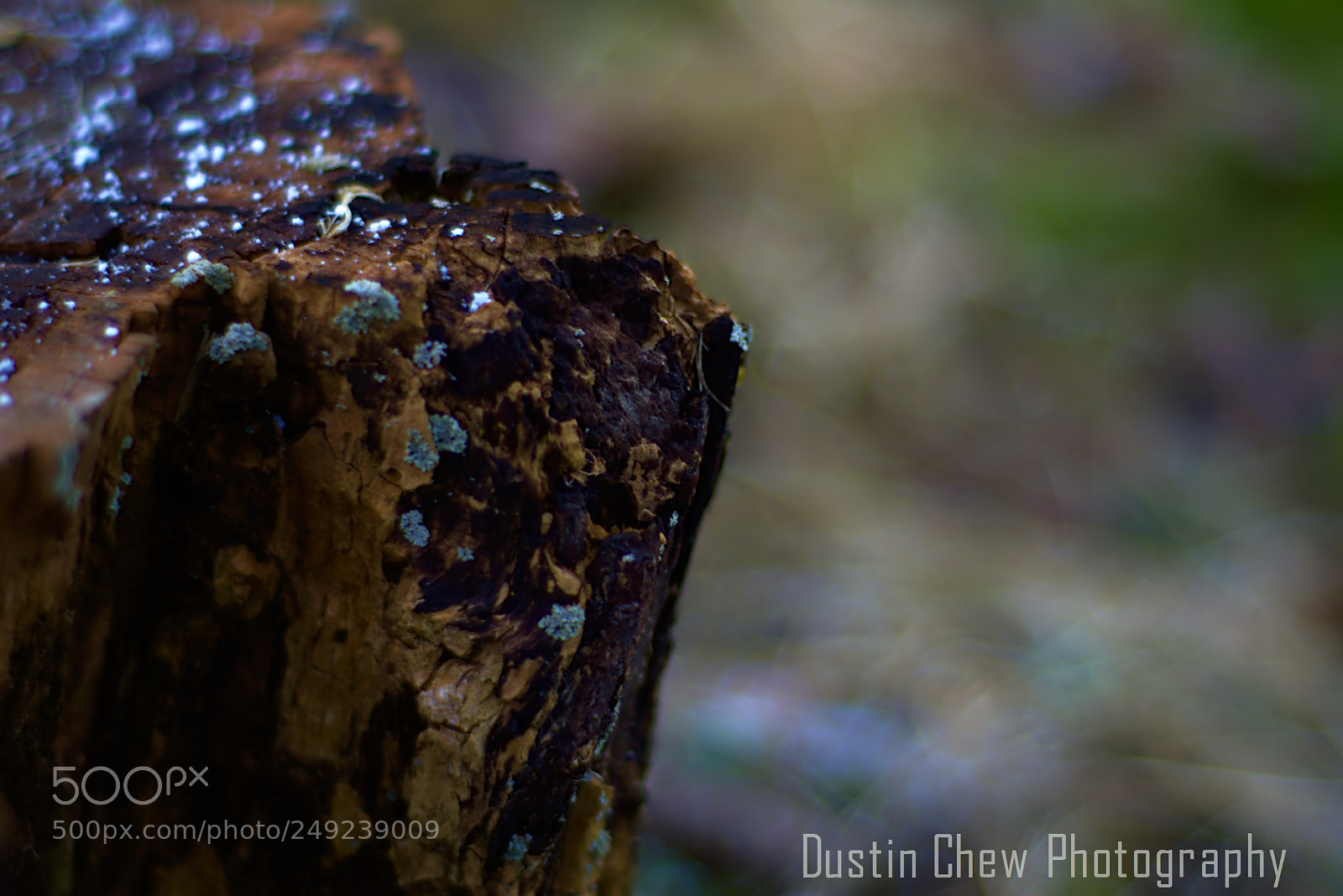 Nikon D7200 sample photo. Stumped05 photography