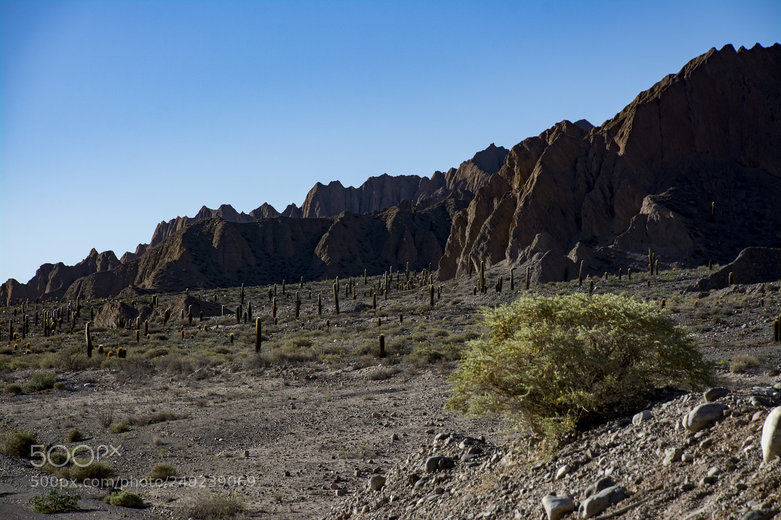 Nikon D7100 sample photo. Tren a las nubes photography